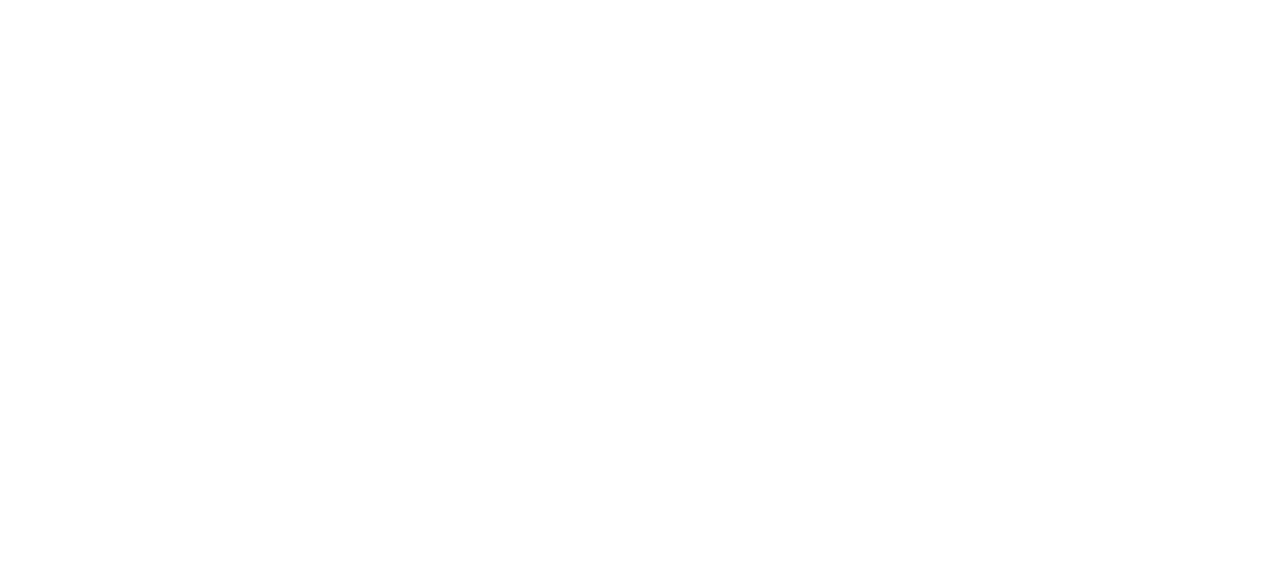 Pixora Creative Logo